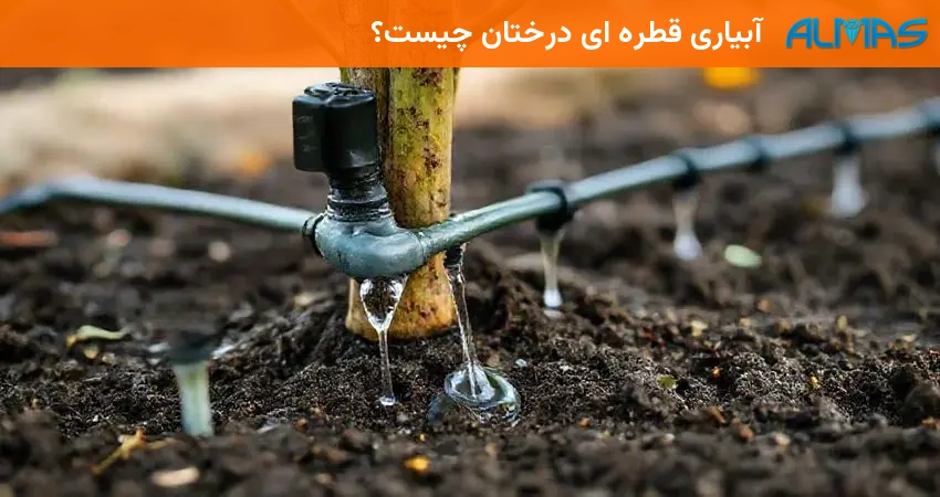 آبیاری قطره ای درختان چیست؟