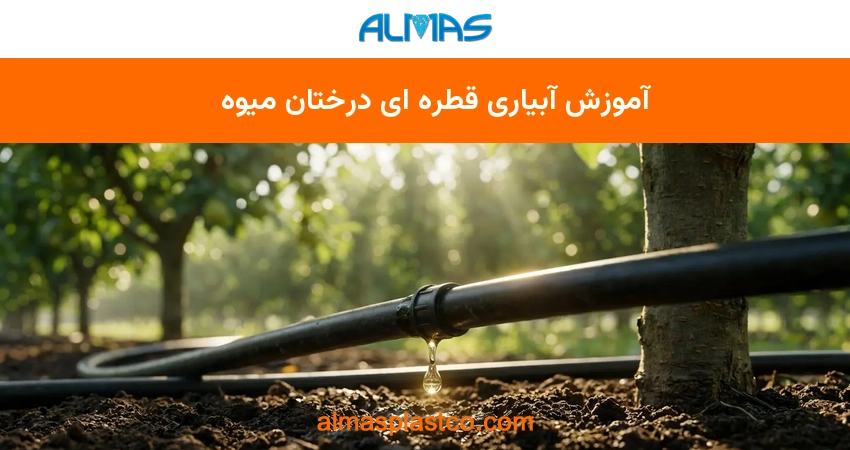 آموزش آبیاری قطره ای درختان میوه