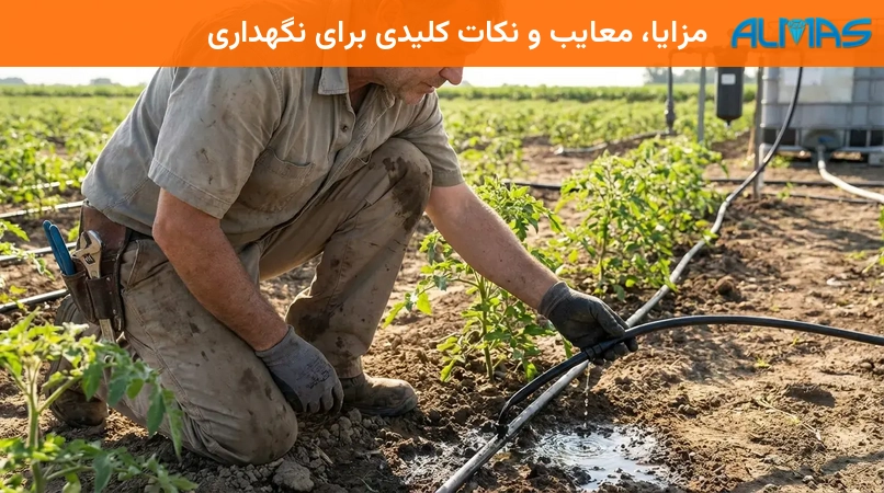 مزایا، معایب و نکات کلیدی برای نگهداری