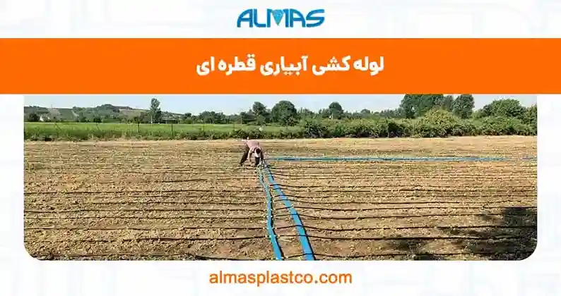  لوله کشی آبیاری قطره ای