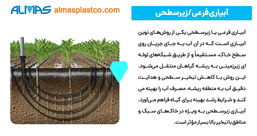 آبیاری فرعی / زیرسطحی