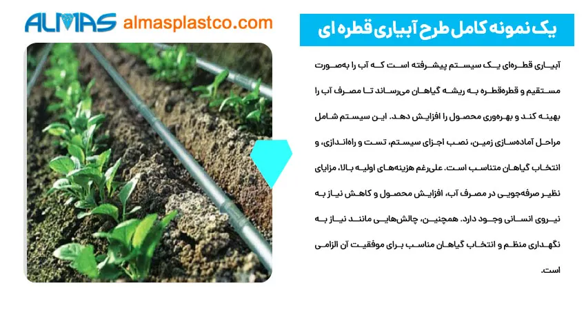 یک نمونه کامل طرح آبیاری قطره ای