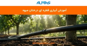 آموزش آبیاری قطره ای درختان میوه